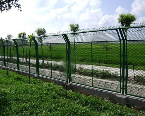 Ral 6005 Polvere di polietilene LDPE verde per recinzioni a legame a catena